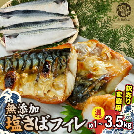 【ふるさと納税】さば 塩さば フィレ 訳あり ご家庭用 選べる 1kg ～ 3.5kg 切り身 おかず 時短 焼くだけ 切身 アレンジ 無添加 水産加工品 魚 魚介 海鮮 海の幸 海産物 食品 食べ物 冷凍 和歌山県 湯浅町 お取り寄せ 送料無料