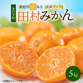 【ふるさと納税】【限定】 【2026年11月下旬頃より発送】高級ブランド 田村みかん 約 5kg 訳あり 家庭用 濃厚 味わい 糖度 酸味 バランス 絶妙 甘い コク みかん 温州みかん 有田みかん 果物 果実 フルーツ 柑橘 お取り寄せ 産地直送 送料無料 和歌山県 湯浅町