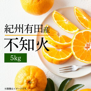yӂ邳Ɣ[Łzyz y2026Ns\z sm 5kg fR| k̉l Â vv W[V[ Z t[c ʎ ʕ k IBLcY Y Hi Hו  ߏX a
