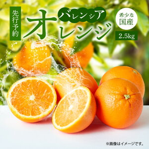 yӂ邳Ɣ[Łzyz ys\z󏭂 Y oVAIW 2.5kg GiyYIW IW k t[c a̎R Lcz