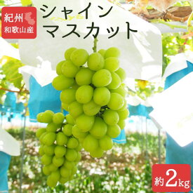 【ふるさと納税】紀州和歌山産シャインマスカット 約2kg