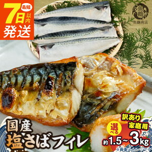 yӂ邳Ɣ[Łzyz s7ȓt 󂠂 Y  tB Iׂ 1.5kg ~ 3kg Hׂ₷ ؂g  Z ^Cp Ă ȒP ƒp ٓ ؐg YHi    C