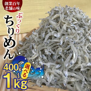 yӂ邳Ɣ[Łzyz ] Ղ ߂ Iׂ e 400g 1kg 炷 䥂 ߂񂶂Ⴑ VX TCY 傫 Â V܂̖  CN  T_ a  AW 