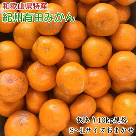 【ふるさと納税】【2026年先行予約】【限定】【訳あり】 和歌山 有田みかん 10kg (S〜Lサイズいずれかお届け) 【ミカン 蜜柑 柑橘 温州みかん 有田みかん】