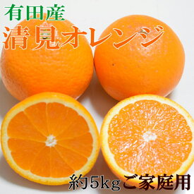 【ふるさと納税】【ご家庭用】濃厚有田産清見オレンジ約5kg（サイズおまかせ）