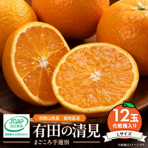 yӂ邳Ɣ[Łzy2026Ns\za̎RY Lc  ϔ LTCY 12i܂Iʁj