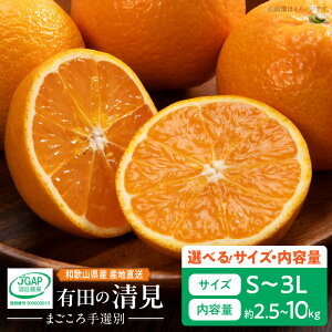 yӂ邳Ɣ[Łzy2026Ns\z a̎RY Lc  TCY e Iׂ S~3L 2.5kg~10kg TCYi܂Iʁj