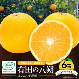 【ふるさと納税】【限定】【2026年先行予約】 和歌山県産 有田の 八朔 (はっさく) 6玉 L～2Lサイズ【まごころ手選別】【はっさく ハッサク 八朔 和歌山産】