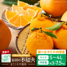 【ふるさと納税】【2026年先行予約】和歌山県産 有田の 不知火(しらぬひ) 【訳あり 家庭用】サイズ 容量 選べる S ～ 4L 3 ～ 7.5 kg 【まごころ手選別】【でこぽん デコポン しらぬい 不知火 柑橘】