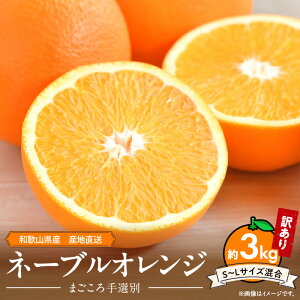 yӂ邳Ɣ[Łzyzy2026Ns\za̎RY l[uIW y󂠂 ƒpz3kg TCYy܂Iʁz