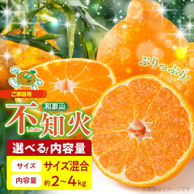 【ふるさと納税】【限定】【2026年先行予約】 訳あり 不知火 選べる 容量 2kg 4kg サイズ 混合 オレンジ みかん 柑橘 果物 ジューシー ぷりぷり 果肉 果汁 果実 フルーツ ビタミン 上品 甘味 濃厚 酸味 産地直送 国産 家庭用 お取り寄せフルーツ 和歌山県 湯浅町 送料無料