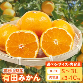 【ふるさと納税】【限定】【TVで紹介されました】 高評価 みかん 有田みかん 選べるサイズ&容量 S ～ 3Lサイズ 3kg 5kg 10kg 手選別 厳選 直送 国産 ブランド産地 有田 温州みかん 柑橘 果物 フルーツ 甘い コク うまみ 果汁 濃縮 濃厚 お取り寄せ 和歌山県 湯浅町 送料無料