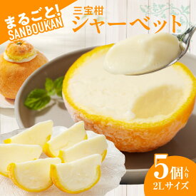 【ふるさと納税】まるごと三宝柑シャーベット 5個 セット