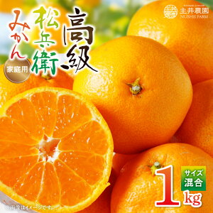 yӂ邳Ɣ[Łz_  q݂ ƒp 1kg  (TCY)y~J  k B݂ a̎Rz