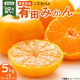 【ふるさと納税】【2025年先行予約】【限定】 こだわりの 有田みかん 小玉 5kg (2S～3Sサイズ)【訳あり 家庭用】和歌山 有田 みかん 温州みかん 送料無料