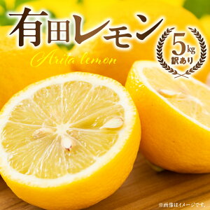 yӂ邳Ɣ[ŁzYLc5kgy󂠂 ƒpzyY  k t[c a̎Rz