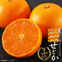 ふるさと納税 高評価 せとか ハウスせとか みかん 薄皮 フルーツ 果物 ...