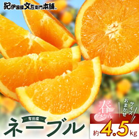 【ふるさと納税】【2027年先行予約】 ネーブル 約 4.5kg サイズ おまかせ オレンジ フルーツ 果物 果実 柑橘 フレッシュ オランジェット オレンジピール 国産 食品 食べ物 紀伊国屋文左衛門本舗 お取り寄せ 和歌山県 湯浅町 送料無料