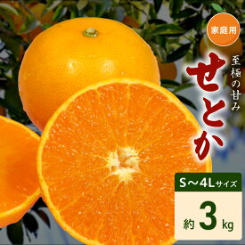 【ふるさと納税】【限定】【2027年先行予約】ご家庭用 せとか 和歌山 有田 S～4Lサイズ 大きさお任せ 3kg