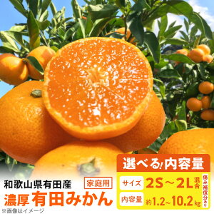 yӂ邳Ɣ[Łzyz ƒp n Lc݂ TCY 2S-2L Iׂe  1.2kg ` 10.2kg قǂ悢 _ Z Ö 킢 Q ̂ꂽ VN  I  ʕ t[c 