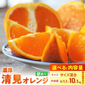 【ふるさと納税】【限定】【2026年先行予約】 期間限定 清見 オレンジ 5kg ～ 10kg + 100g(傷み補償分) 訳あり 家庭用 サイズ混合 みずみずしい 手選別 フルーツ 果実 果物 柑橘 有田産 国産 食品 食べ物 有田マルシェ お取り寄せ 和歌山県 湯浅町 送料無料