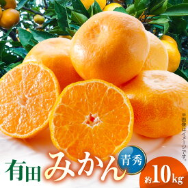 【ふるさと納税】【限定】 有田みかん 青秀 約10kg サイズ おまかせ 手作業 選別 程よい 酸味 早生 甘み 強い 中生 濃厚 晩生 みかん 柑橘 果物 果実 フルーツ 農家直送 ご当地 お取り寄せグルメ グルメ 和歌山県 湯浅町 送料無料