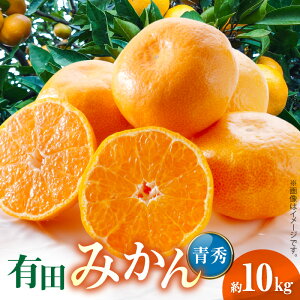 yӂ邳Ɣ[Łzyz 2025N s\ Lc݂ G 10kg TCY ܂  I 悢 _  Â   Z Ӑ ݂ k ʕ ʎ t[c _ƒ n 