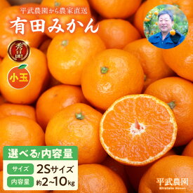 【ふるさと納税】有田みかん 2S サイズ 選べる 内容量 2kg ～ 10kg 秀品 小玉 早生みかん 晩生みかん 有田 みかん 温州みかん フルーツ 果物 果実 柑橘 甘い コク やみつき 国産 食品 食べ物 農家直送 お取り寄せ 和歌山県 湯浅町 平武農園 送料無料