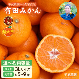 【ふるさと納税】【限定】 有田みかん 3Lサイズ 秀品 選べる 内容量 5kg 9kg 超大玉 田口みかん 温州みかん 早生みかん 晩生みかん 有田 みかん フルーツ 果物 果実 柑橘 甘い 国産 食品 食べ物 農家直送 平武農園 お取り寄せ 和歌山県 湯浅町 送料無料
