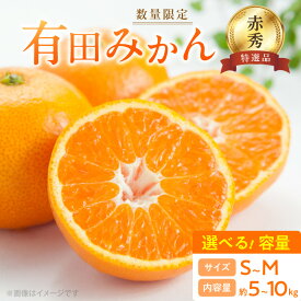 【ふるさと納税】数量限定 赤秀 特選品 有田みかん S 〜 Mサイズ 選べる容量 約5kg 〜 約10kg 和歌山県 有田産 追熟 有田 みかん 温州みかん 柑橘 果物 果実 果肉 フルーツ ビタミン 食品 国産 贈答用 ギフト用 期間限定 お取り寄せ 湯浅町 送料無料