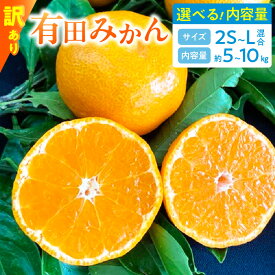 【ふるさと納税】【数量限定】 訳あり 有田みかん 2S 〜 Lサイズ 混合 選べる 内容量 5kg 10kg 【ミカン 蜜柑 柑橘 温州みかん 有田みかん 和歌山】