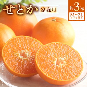 yӂ邳Ɣ[Łzy2026Nstz Ƃ ƒp 3kg M`2LTCY  y~J t݂ kz