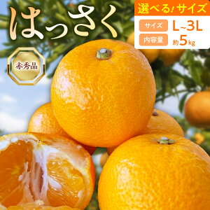 yӂ邳Ɣ[Łzy2026Nstz ͂ ԏGi 5kg IׂTCY L ` 3L a̎R LcY ԏG ݂ 嗱 k ʕ ʎ ʓ t[c r^~ Hi Y  