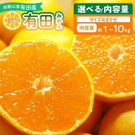 【ふるさと納税】【限定】 【2026年先行予約】 有田みかん 訳あり 家庭用 選べる 内容量 1kg 〜 10kg 和歌山県 湯浅町 送料無料