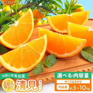 yӂ邳Ɣ[Łzyzy2026Ns\z a̎RLcY IW 󂠂 Iׂ e 3kg ` 10kg a̎R  