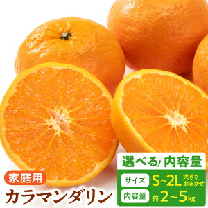 yӂ邳Ɣ[Łzyz y2026Ns\z ƒp J}_ Ȃ a̎R Lc S ` 2LTCY 傫C Iׂ e 2kg ` 5kg a̎R  