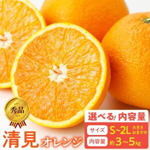yӂ邳Ɣ[Łzyzy2026Ns\z Gi IW a̎R Lc S ` 2L TCY 傫 C Iׂ e 3kg ` 5kg a̎R  