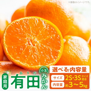 【ふるさと納税】【限定】 ご家庭用 有田みかん 和歌山 小玉(2S,3Sサ...