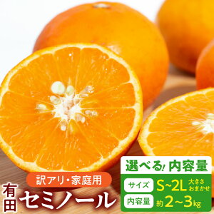 yӂ邳Ɣ[Łzyzys\z ƒp Z~m[ a̎R Lc S ` 2L TCY 傫 C Iׂ e 2kg ` 3kg a̎R  