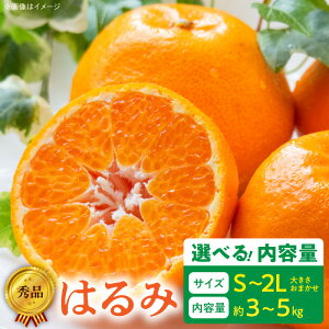 yӂ邳Ɣ[Łzyz y2026Ns\z Gi ͂ S `2L TCY Iׂ e 3kg 5kg 傫 ܂ LcY  [ Z ʏ` Y ʕ t[c ʎ Hi  fU[g 