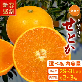【ふるさと納税】【限定】【2027年先行予約】 訳あり せとか 2S〜3L 選べる 内容量 約2kg 約3kg サイズ混合 ブランド 有田産 味 深み 濃厚 果汁 国産 果物 フルーツ 果実 食品 食べ物 おやつ デザート お取り寄せ お取り寄せフルーツ 和歌山県 湯浅町 送料無料
