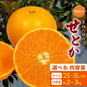 yӂ邳Ɣ[Łzyz y2026Ns\z 󂠂 Ƃ 2S`3L Iׂ e 2kg 3kg TCY uh LcY  [ Z ʏ` Y ʕ t[c ʎ Hi Hו  fU