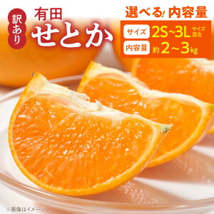 yӂ邳Ɣ[Łzyz y2026Ns\z 󂠂 Ƃ 2S`3L Iׂ e 2kg 3kg TCY uh LcY  [ Z ʏ` Y ʕ t[c ʎ Hi Hו  fU