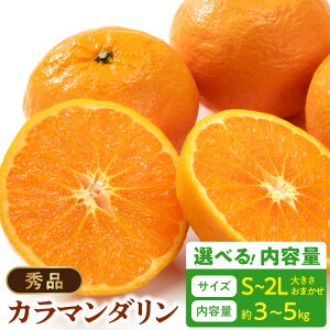 yӂ邳Ɣ[Łzyz y2026Ns\z Gi J}_ Ȃ a̎R Lc Gi S ` 2LTCY 傫C Iׂ e 3kg ` 5kg a̎R  