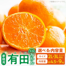 【ふるさと納税】【2026年先行予約】【限定】 ご家庭用 有田みかん 大玉 2L 3L サイズ混合 選べる 内容量 約4.5kg 約9kg みかん 柑橘 フルーツ 果物 果実 果汁 デザート 濃厚 お取り寄せ 和歌山県 湯浅町 送料無料