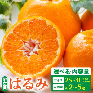 yӂ邳Ɣ[Łzyzy2026Ns\z ƒp ͂ a̎R Lc 2S ` 3L TCY 傫C Iׂ e 2kg ` 5kg a̎R  