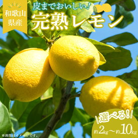 【ふるさと納税】【2026年先行予約】 完熟 レモン 選べる 内容量 約 2kg ～ 10kg 皮まで使用可能 栽培期間中農薬不使用 熟成 香り高い ジューシー 国産 柑橘 果実 お菓子 タルト シロップ ジャム お酒 レモンサワー 酸味 甘味 果汁 お取り寄せ 和歌山県 湯浅町 送料無料