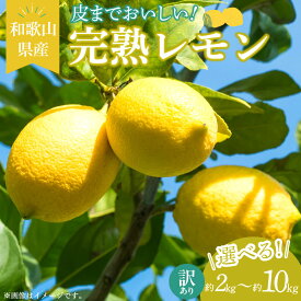 【ふるさと納税】【訳あり・ご家庭用】完熟 レモン 選べる 内容量 約 2kg 〜 10kg 皮まで使用可能（栽培期間中農薬不使用）