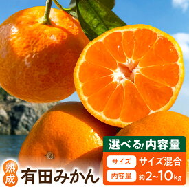 【ふるさと納税】有田みかん 熟成みかん 大小混合 選べる 内容量 2kg ～ 10kg みかん 今村温州 丹生系温州 高糖系 品種 糖度 高い 濃厚 コク 華やかな風味 12月下旬 収穫 貯蔵熟成 こだわり フルーツ 果物 果実 デザート お取り寄せ 和歌山県 湯浅町 送料無料
