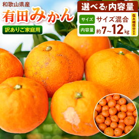 【ふるさと納税】【2026年先行予約】【限定】有田みかん 訳あり サイズ混合 ご家庭用 選べる 内容量 6kg 〜 10kg 補償分あり みかん 温州みかん フルーツ 果物 果実 柑橘 甘い ジューシー 本場の味 国産 食品 産地直送お取り寄せ和歌山県湯浅町送料無料